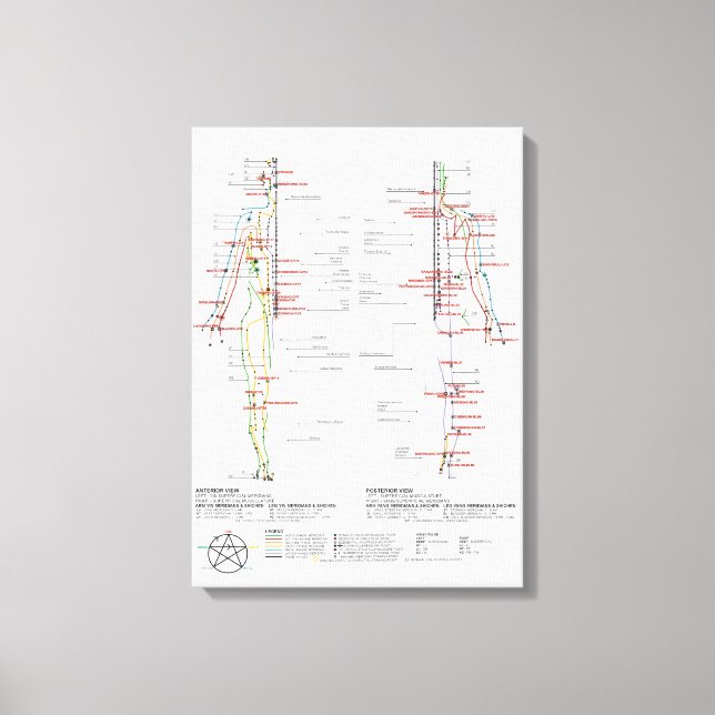 Diagramm der menschlichen Meridianer Leinwanddruck (Vorderseite)