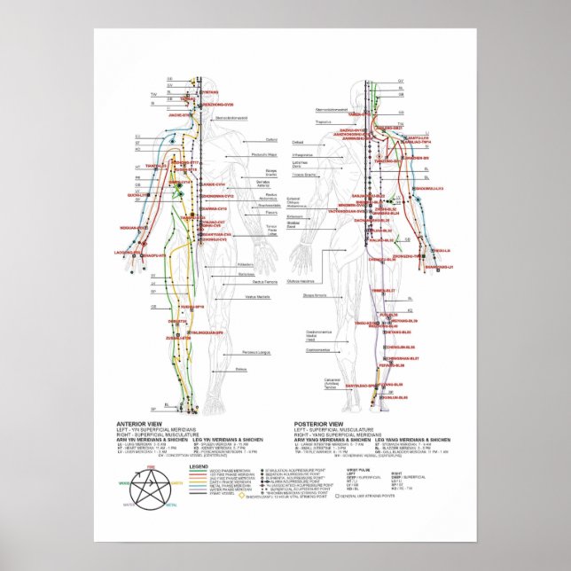 Diagramm der menschlichen Meridianer Poster (Vorne)