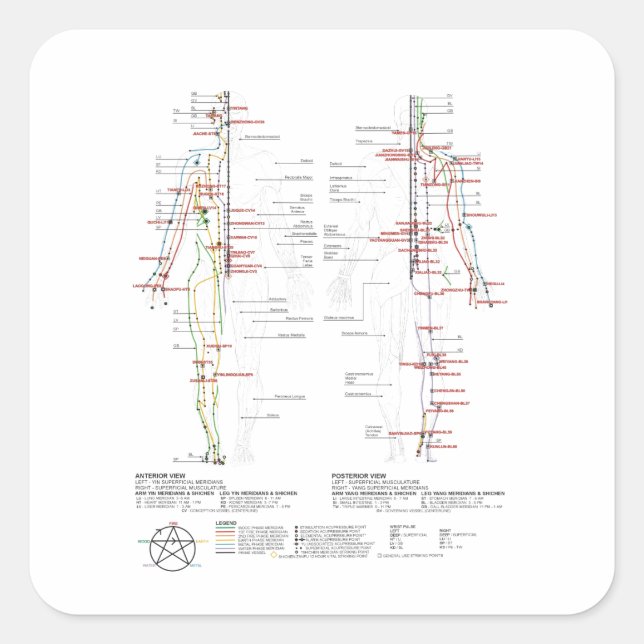 Diagramm der menschlichen Meridianer Quadratischer Aufkleber (Vorderseite)