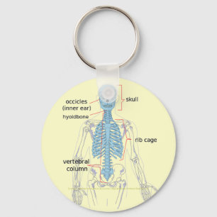 Diagramm des axialen Skeletts für Medizinstudente Schlüsselanhänger