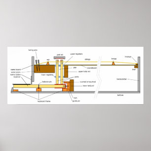 Diagramm des Musikinstrumentencembalords Poster