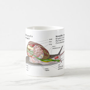 Diagramm einer allgemeinen Garten-Schnecke Kaffeetasse