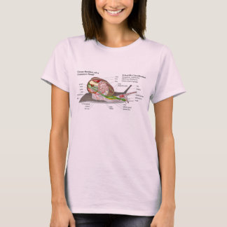 Diagramm einer Schnecke aus einem gemeinsamen Gart T-Shirt