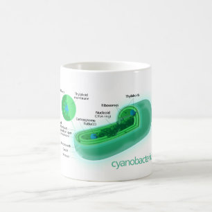Diagramm einer typischen Cyanobacteria-Zelle Kaffeetasse