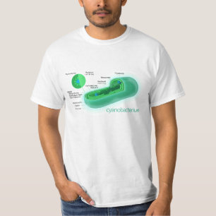 Diagramm einer typischen Cyanobacteria-Zelle T-Shirt