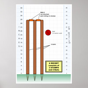 Diagramm eines Tors vom Spiel des Krickets Poster