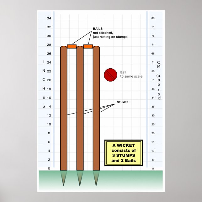 Diagramm eines Wickers aus dem Spiel des Crickets Poster (Vorne)