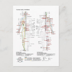 Diagramm Schema chinesische Meridiane menschlicher Postkarte