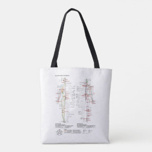 Diagramm Schema chinesische Meridiane menschlicher Tasche