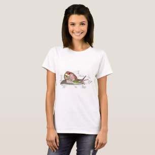 Diagramm Schnecke Helix aspersa geteilt-geschnitte T-Shirt