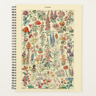 Diagramme de Fleur sauvage botanique Fleurs