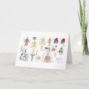 Diagramme der menschlichen Anatomie Karte