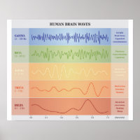 Diagramme des vagues cérébrales humaines - Poster