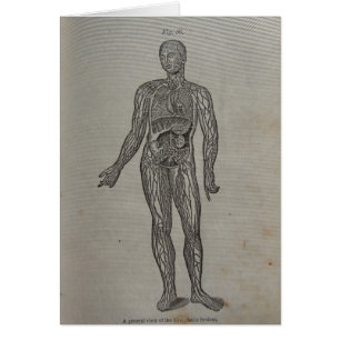 Diagramme Médicale du livre de 1875