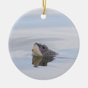 Diamant-Rückenschildkröte Schildkröten-Gesichts-Or Keramik Ornament