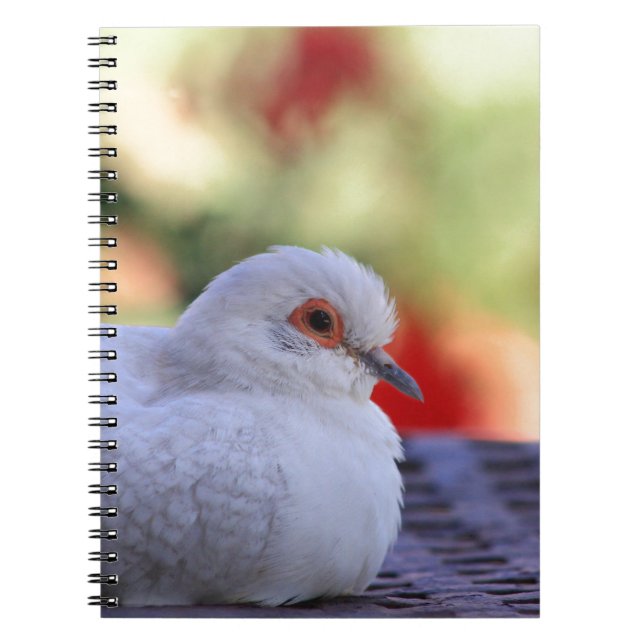 Diamant-Tauben-Vogelzeitschrift Notizblock (Vorderseite)