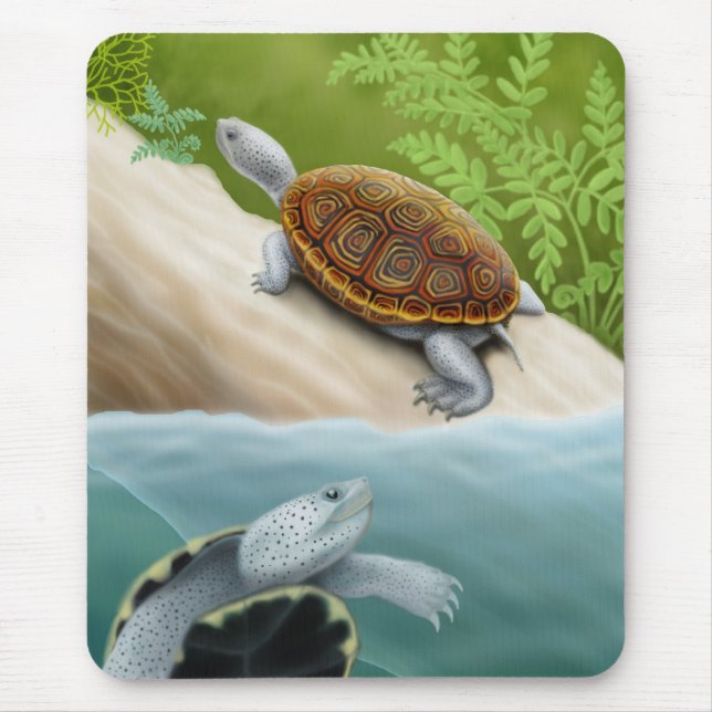 Diamantmarkierungs-Dosenschildkröte-Schildkröten Mousepad (Vorne)
