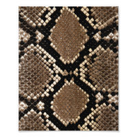 Diamond Back Rattlessnake Skin