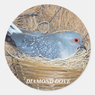 DIAMOND DOVE AUF NEST STICKER