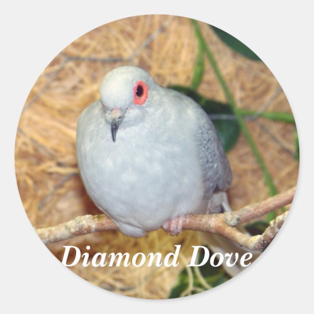 DIAMOND DOVE RUNDER AUFKLEBER (Vorderseite)
