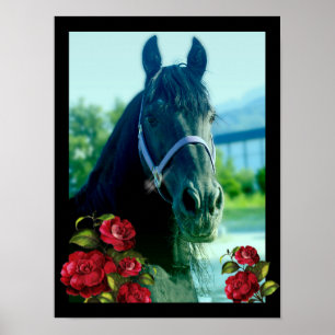 DIAMOND-Portrait - Poster