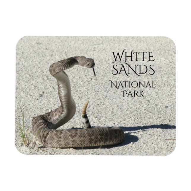 Diamondback Rattlesnacht, National des weißen Sand Magnet (Horizontal)