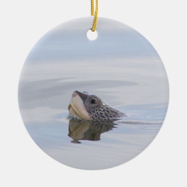 Diamondback Terrapin Turtle Face Ornament  (Vorne)