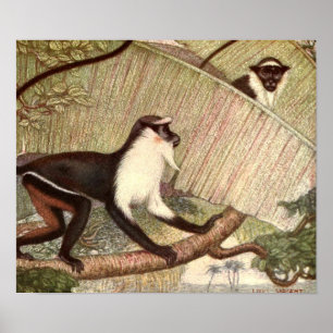 Diana Monkey von Louis Sargent, Vintages Wildtier Poster