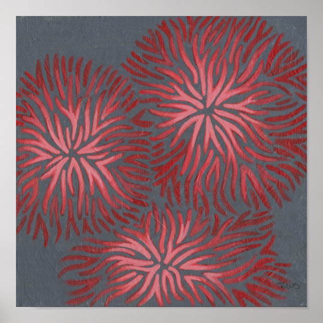 Dianthus II Poster (Vorne)