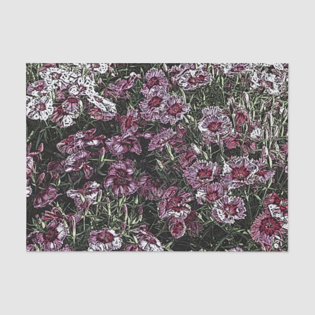 DIANTHUS SEIDENPAPIER (Vorderseite)