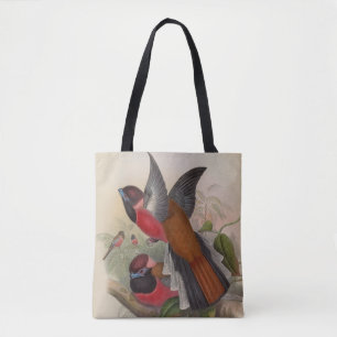 Diards Trogon von John Gould Tasche