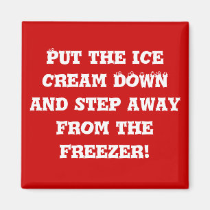 Diäthelfer #2 magnet