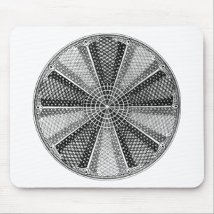 Diatom 13 Ernst Haeckel Fine Art Mousepad