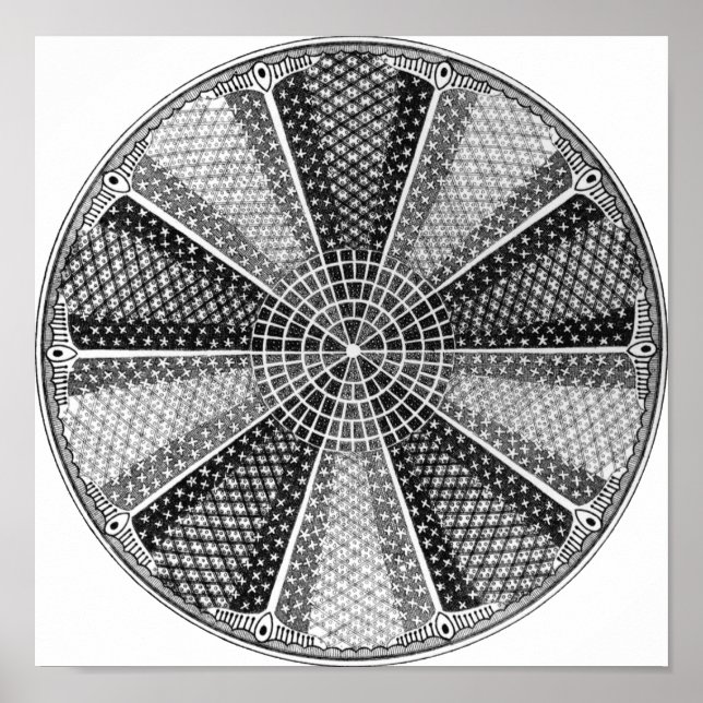 Diatom 13 Ernst Haeckel Fine Art Poster (Vorne)