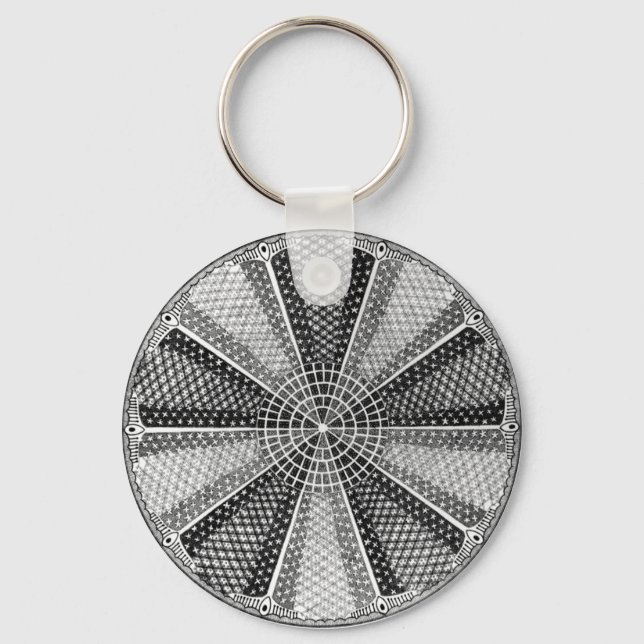 Diatom 13 Ernst Haeckel Fine Art Schlüsselanhänger (Vorderseite)