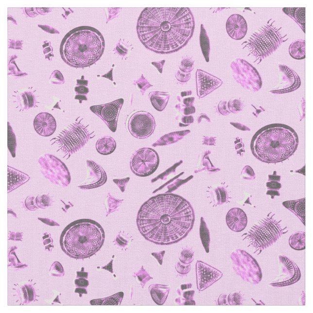 Diatome Pink Stoff (Nahaufnahme)