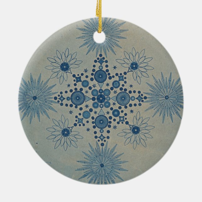 Diatome von Julius Wiesner Keramik Ornament (Hinten)
