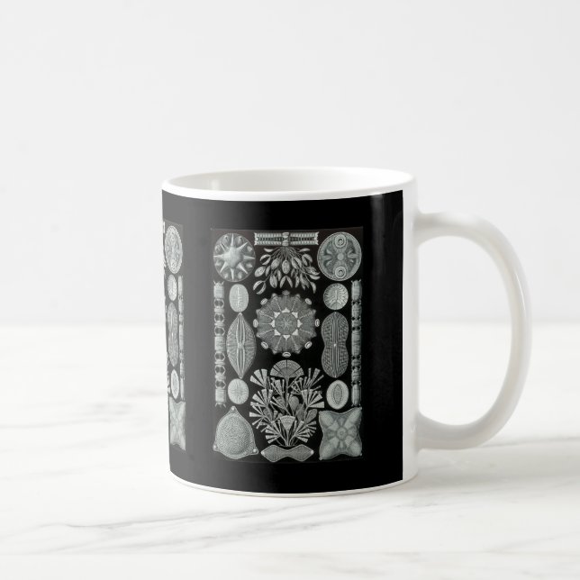 Diatomeen Kaffeetasse (Rechts)