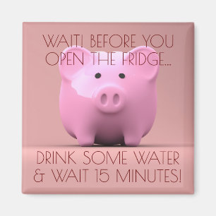 Diätrat von einem Schwein! Motivierend Magnet