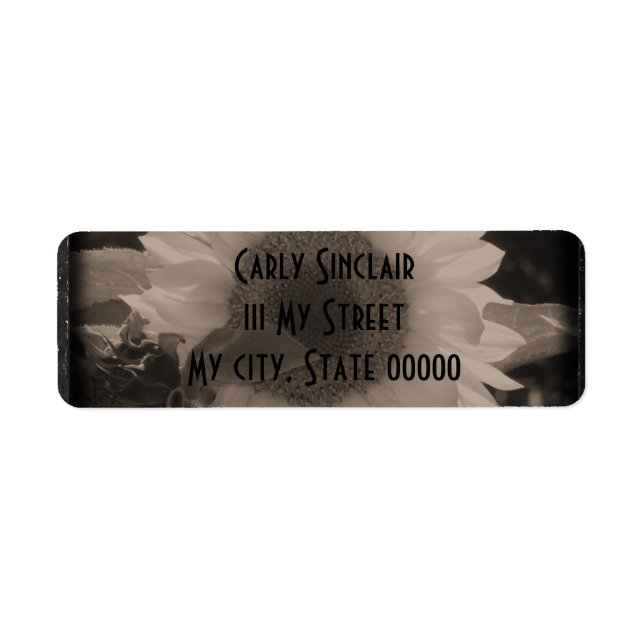 Diatrope Sonnenblume IV (Vorne)