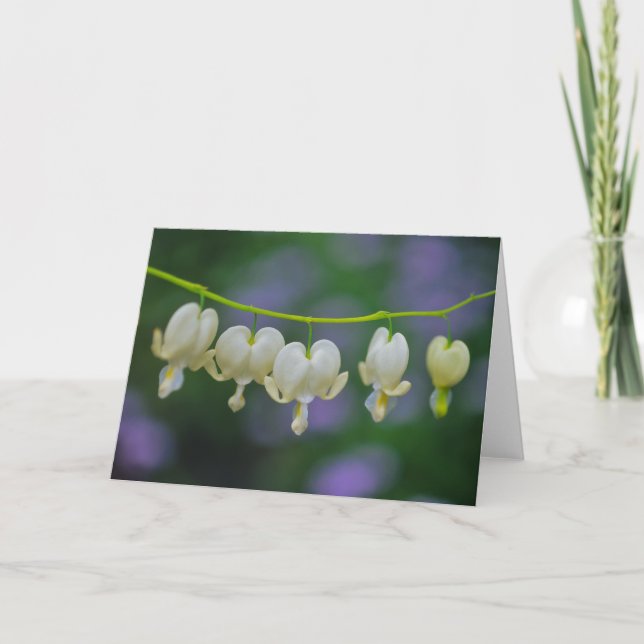 Dicentra-Gruß-Karte Karte (Vorderseite)