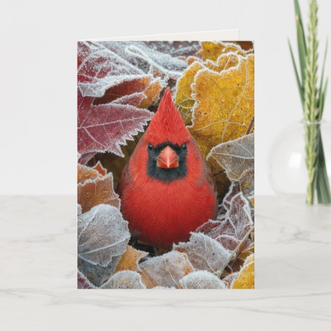 Dich denkend, Kardinal im frostigen Herbstlaub Karte (Vorderseite)