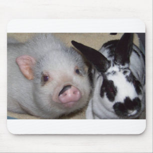 Dickbauch-Schwein u. Freund Mousepad