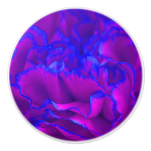 Dicke Fuschia Pink und Blue Carnation Blume Keramikknauf