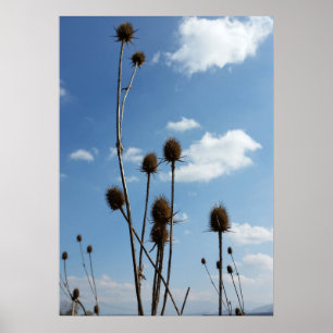 Dicken, Dorf und blauer Himmel Poster