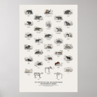 Dickhäutige Vierfüßler - Naturalist's Library Poster