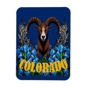 Dickhornschafe in Colorado mit blauen Columbine-Bl Magnet