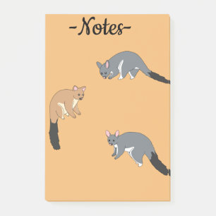 Dickschwanzpossums Post-it Klebezettel