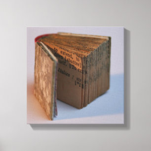 DicofrAngle Englisch-Französisches Miniaturbuchpos Leinwanddruck