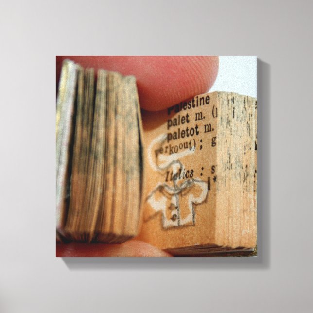 DicofrAngle Miniaturbuch-Jacket Zeichnend Leinwand (Vorderseite)